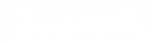 Logo Québec blanc