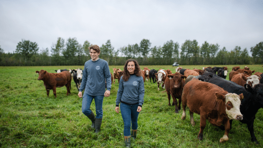 Découvrez le portrait d'Écoboeuf, une entreprise qui s’attaque aux émissions de GES de la production bovine