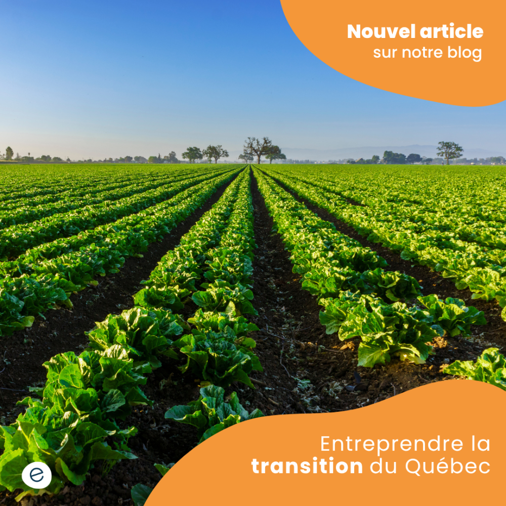 8 innovations québécoises au service de l’agriculture et de l’environnement