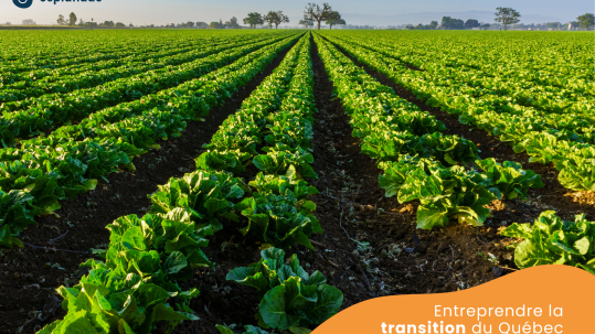 8 innovations québécoises au service de l'agriculture et de l'environnement