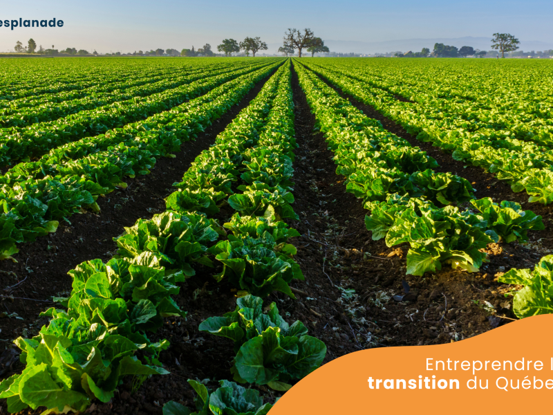 8 innovations québécoises au service de l'agriculture et de l'environnement