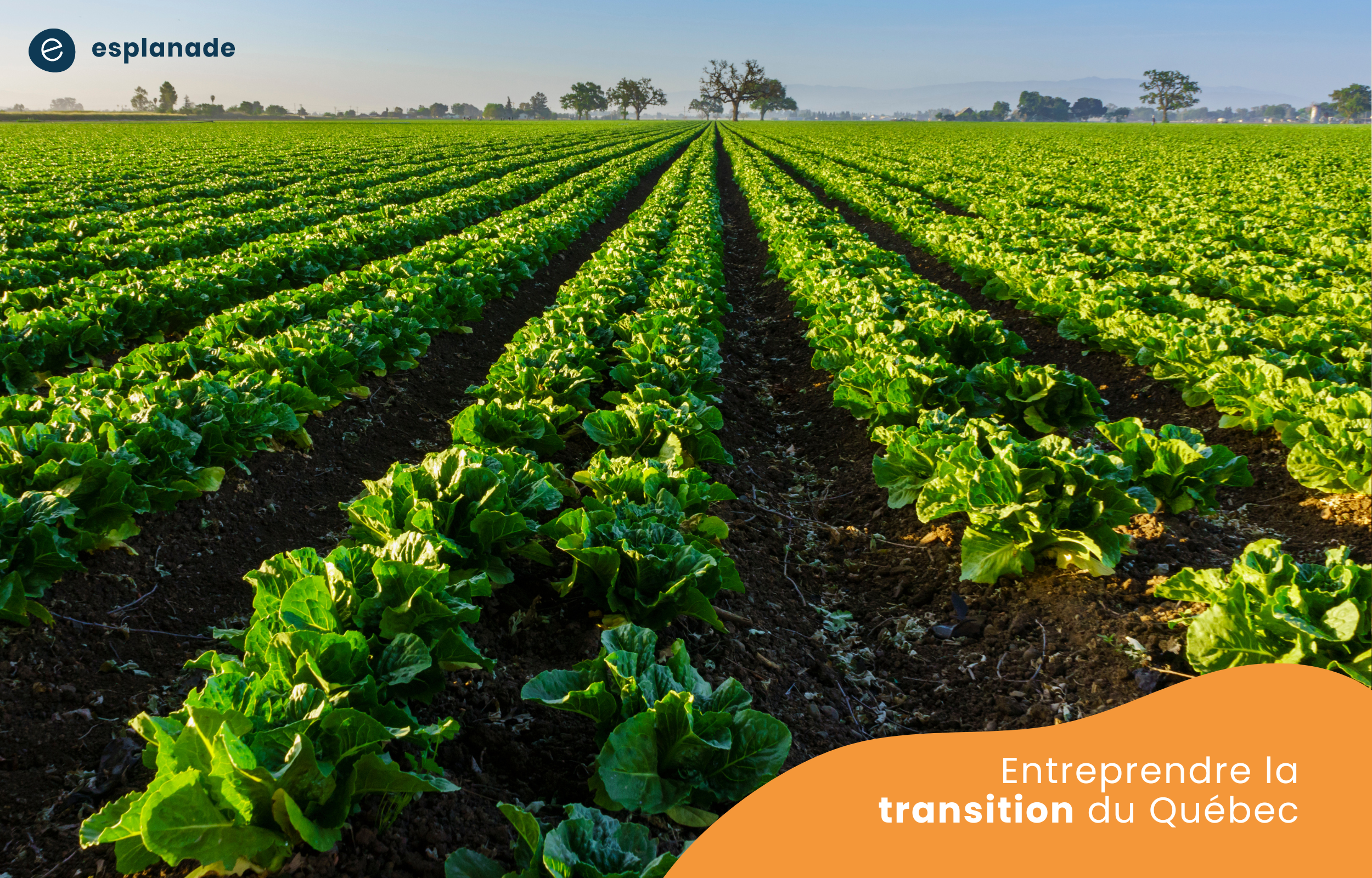 8 innovations québécoises au service de l'agriculture et de l'environnement