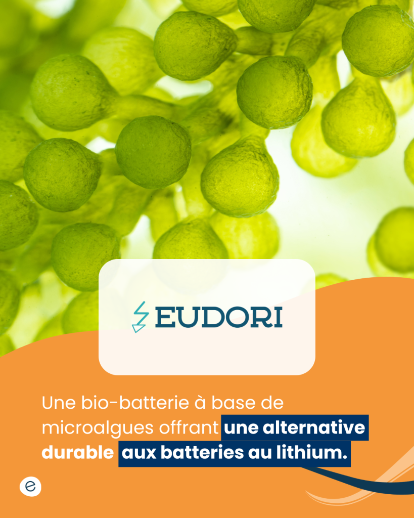 Dévoilement SI (4)